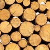 Enerģētiskās koksnes cenu “dambis” Latvijā ir sakustējies